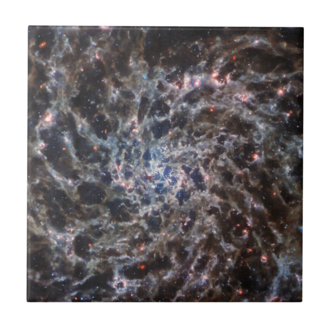 Bones of Galaxy IC5332 from JWST Tile (Front)