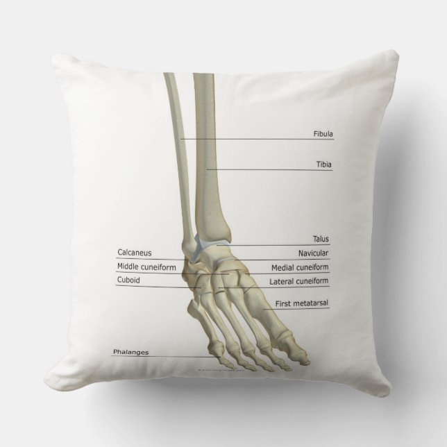 Bones of the Foot 6 Throw Pillow (Front)