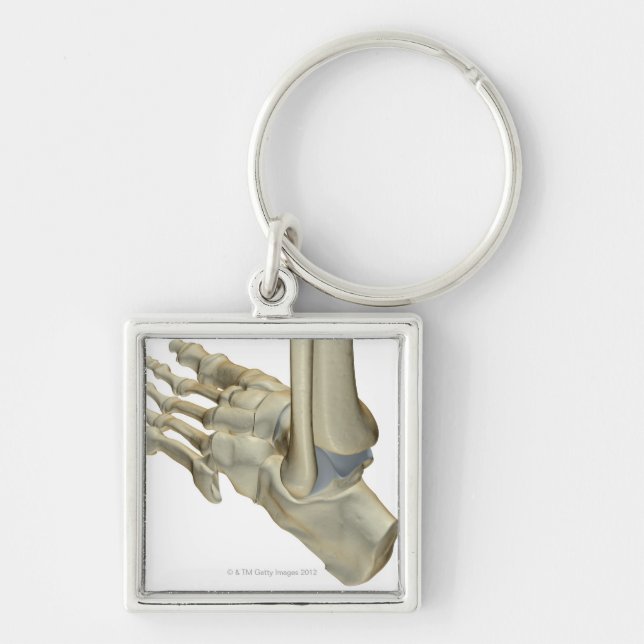 Bones of the Foot Keychain (Front)