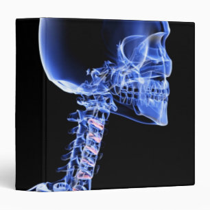 Bones of the Head and Neck Binder