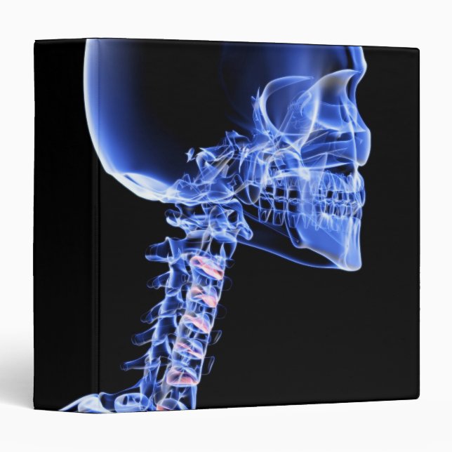 Bones of the Head and Neck Binder (Front/Spine)