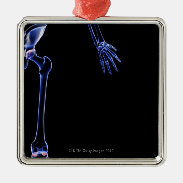 Bones of the Hip Metal Ornament (Front)