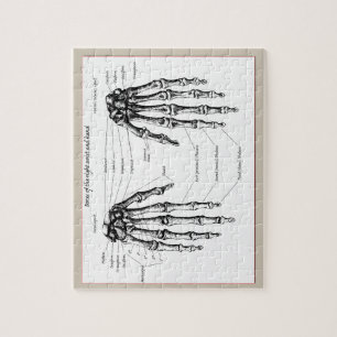 Bones of the Human Hand Jigsaw Puzzle