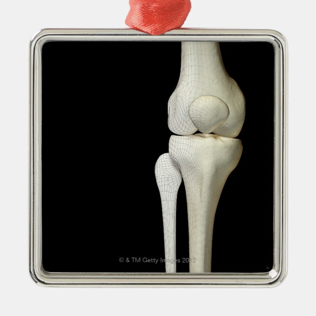 Bones of the Knee 4 Metal Ornament (Front)