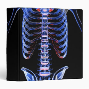 Bones of the Trunk 2 Binder