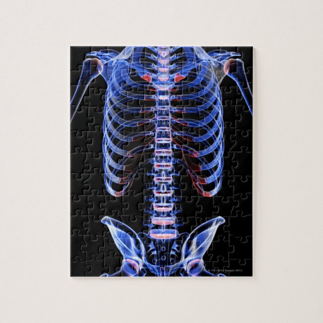 Bones of the Trunk 2 Jigsaw Puzzle (Vertical)