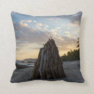 Bonfire In Montezuma Throw Pillow
