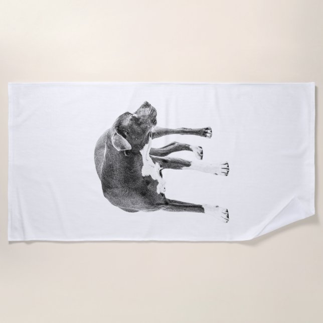 Bonfire Perimeter Calm Beach Towel (Front)