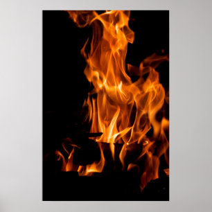 Bonfire Poster