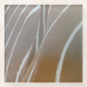 Bongo Antelope Skin Pattern Glass Coaster