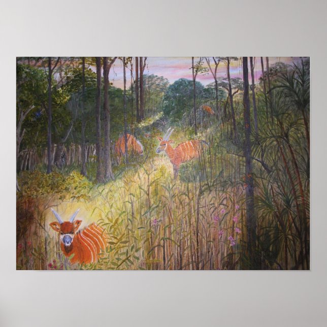 Bongo Antelopes painting Poster (Front)