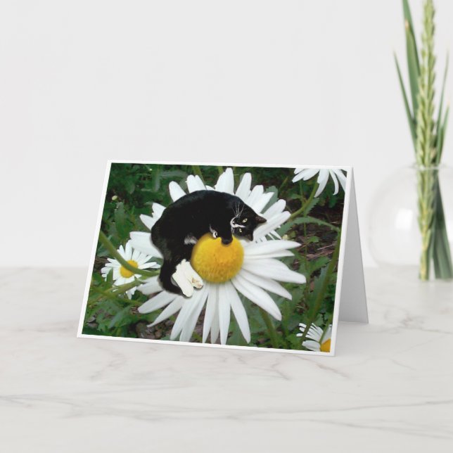 Bongo Daisy Card (Front)