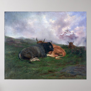 Bonheur - Cattle At Rest On A Hillside In The Alps Poster