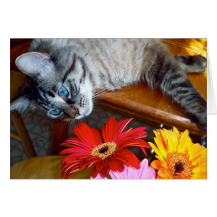 Bonheur de la fleur de Louie