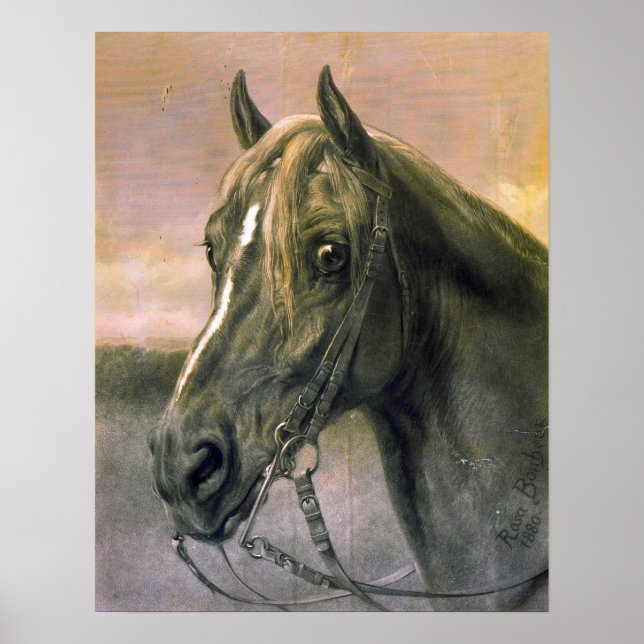 Bonheur - Head Of A Horse Poster (Front)