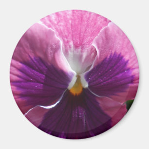 Bonheur Magnet