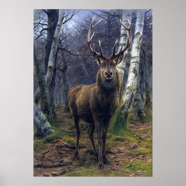 Bonheur - The King Of The Forest Poster (Front)