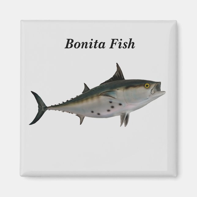 Bonita  Fish Magnet (Front)