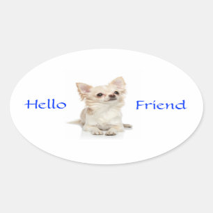 Bonjour ami Long Haired Chihuahua Sticker
