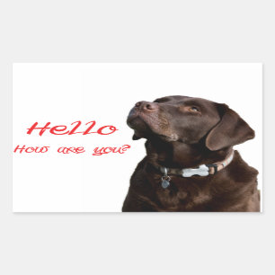 Bonjour Black Brown Labrador Retriever Sticker Éti