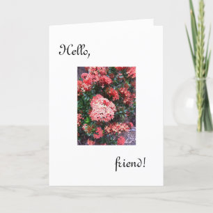 Bonjour Carte d'ami /a pensé à vous