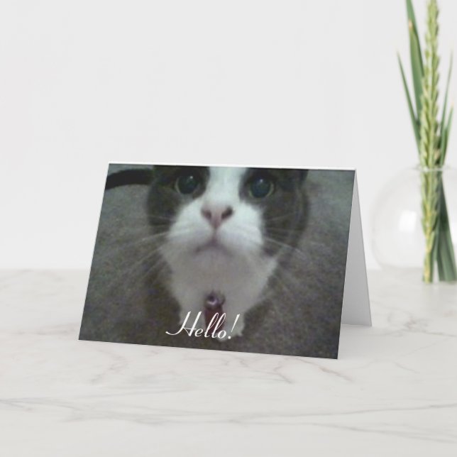 "Bonjour !" Carte de voeux (Devant)
