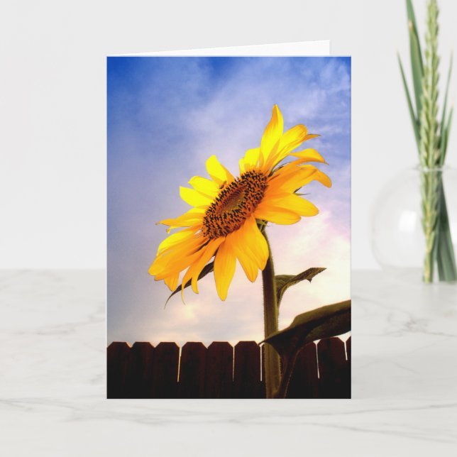 Bonjour carte de voeux d'été (Devant)