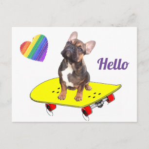 Bonjour Carte postale Bouledogue français