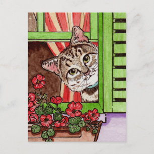 Bonjour cat postcard