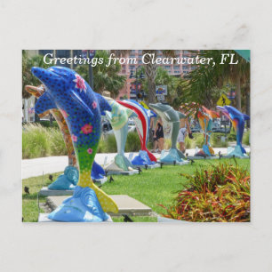 Bonjour dauphin de Clearwater Florida carte postal