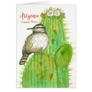 Bonjour De Arizona Cactus Wren Saguaro