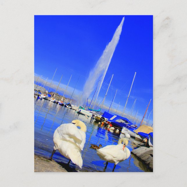 Bonjour de Genève Carte postale (Devant)