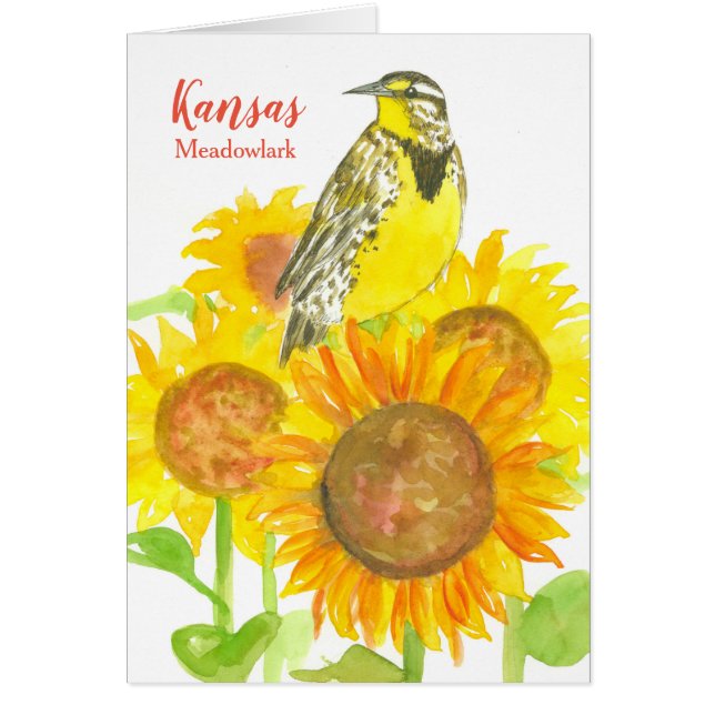 Bonjour De Kansas Sunflower Fleur sauvage Meadowla (Devant)