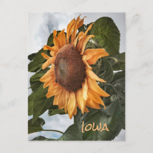 Bonjour De La Carte Postale Iowa