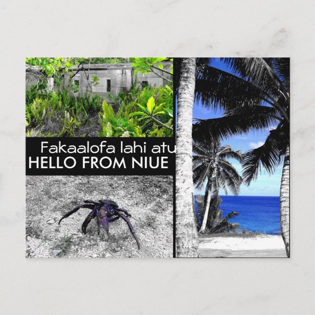 Bonjour de Niue - Carte postale (Devant)
