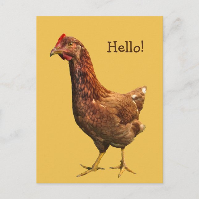 Bonjour de Red Hen Chicken Carte postale (Devant)