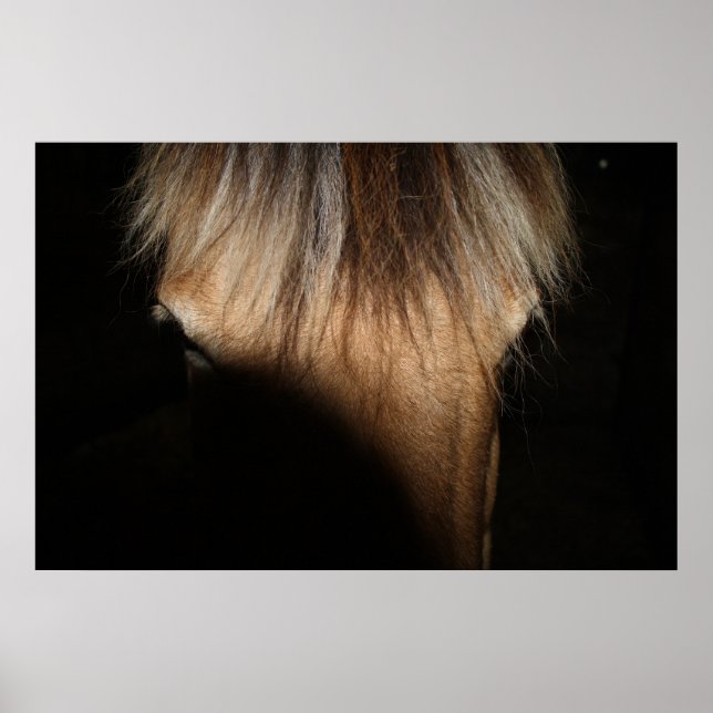 Bonjour, Étranger - Poster (Devant)