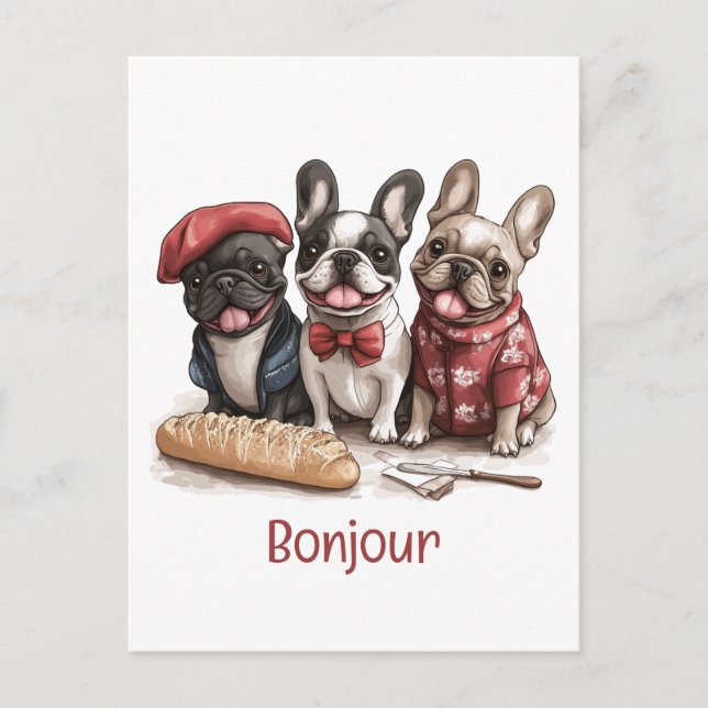 Bonjour French Bulldogs Postcard (Front)