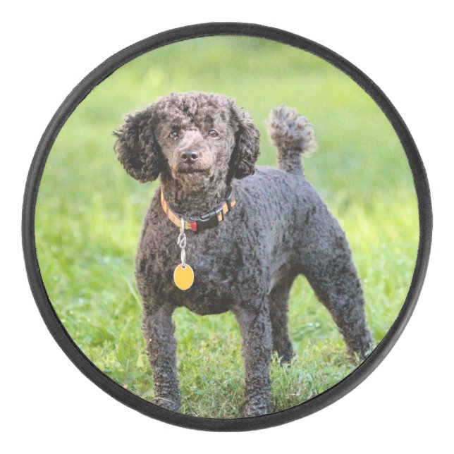 Bonjour Hockey Puck (Front)