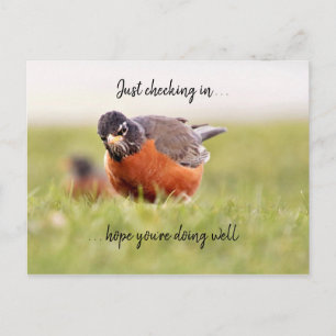 Bonjour—Il Suffit D'Archiver Une Carte Postale