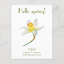 Bonjour jonquille de printemps avec le sens Carte 