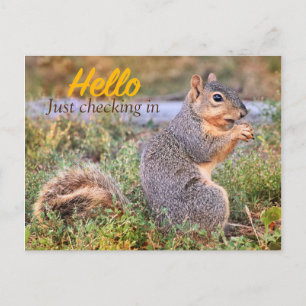 Bonjour Juste Archiver Carte Postale