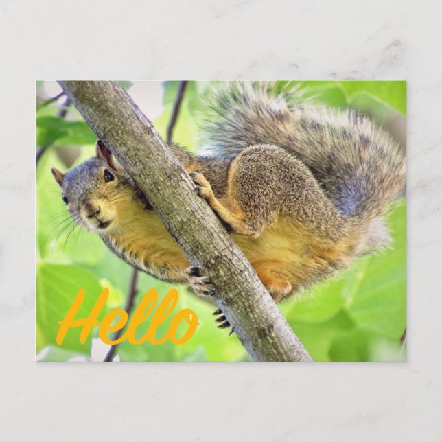 Bonjour Juste Archiver Carte Postale (Devant)