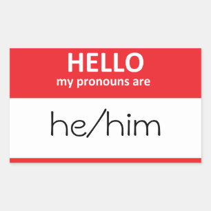 BONJOUR mes pronoms sont il/lui Sticker