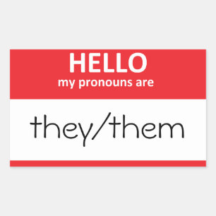 BONJOUR mes pronoms sont ils/eux Sticker