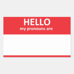 BONJOUR mes pronoms sont Sticker