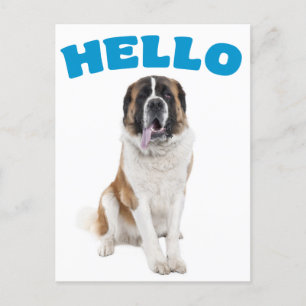 Bonjour Saint Bernard Chien Chien Chien Bleu Carte