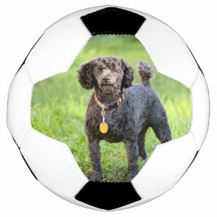 Bonjour Soccer Ball