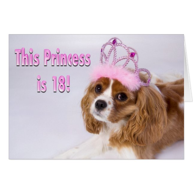 Bonne 18e anniversaire Cavalier King Charles Card (Devant horizontal)