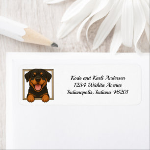 Bonne adresse de retour Rottweiler